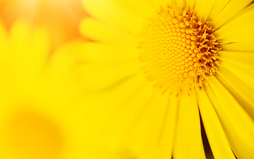 Light Air Yellow: la fotografia trova nella luce la sua esistenza ed in quella solare la sua massima espressione.